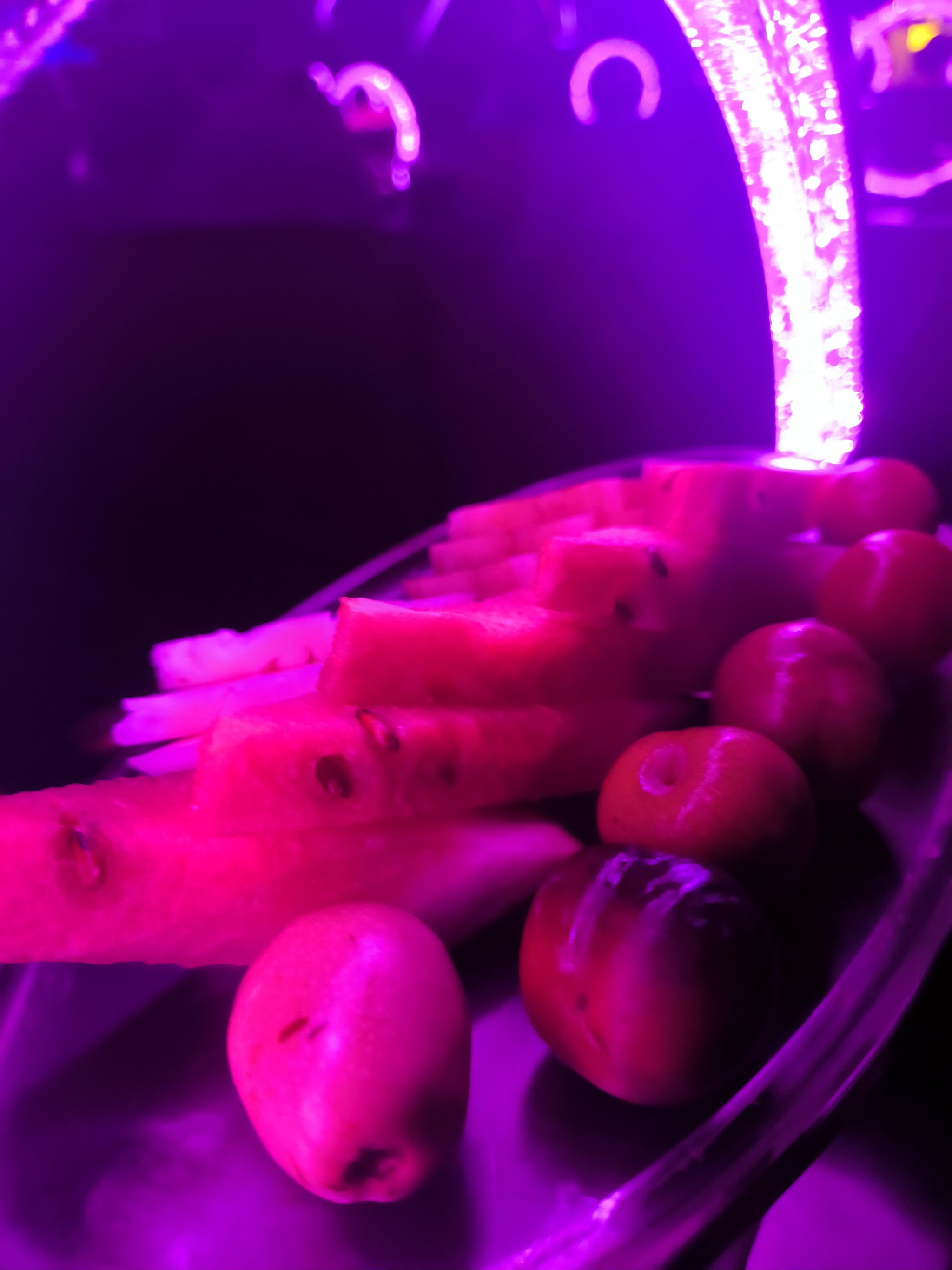 鹤壁商务ktv首选中低端商务ktv推荐-山城区ktv预订